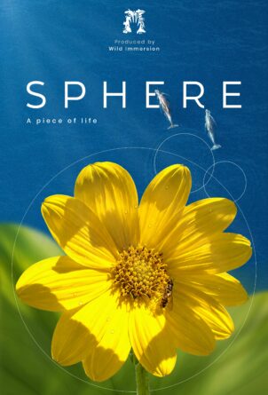 SPHERE, A Piece Of Life